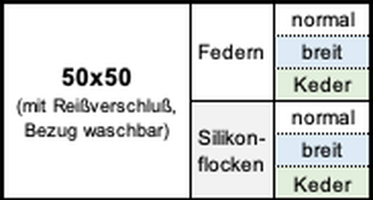 Kissen50x50